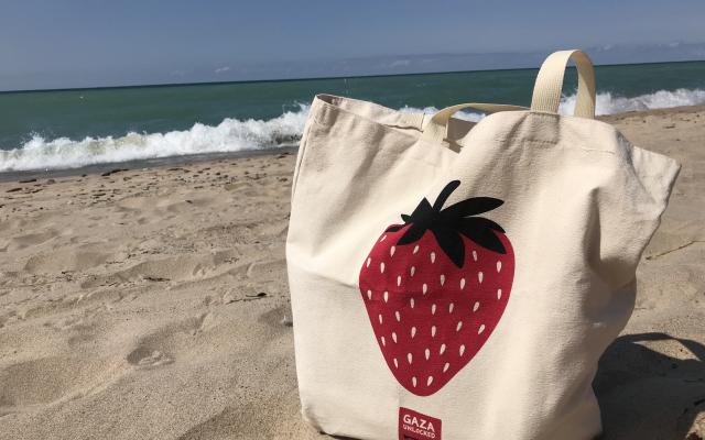Take your Gaza Unlocked tote bag and head to the beach with some summer reading!